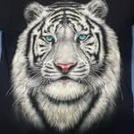 Doug Corby - @doug91932 - Instagram