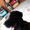 dougcorby741 - @dougcorby741 - TikTok