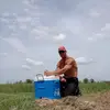 cornydoug - @cornydougsfarm - TikTok