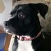 Doug Corn - Facebook