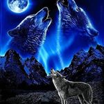 Doug Cornell - @doug.cornell.61 - Instagram