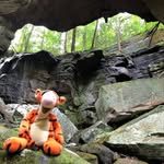 Doug Cornett - @wheres_tigger - Instagram