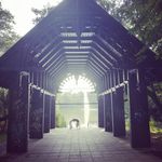 @cornwell__mcdougald__7406 - Instagram