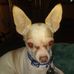 Doug Corwin - Facebook