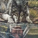 Doug Cottrill - @dougcottrill - Instagram