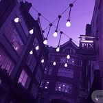Doug - @doug_the_couch - Instagram