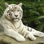 Douglas Couch - @dougcouch65 - Instagram