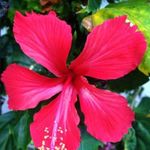 Douglas Courson Ana - @ana.courson.medianita - Instagram