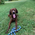 Doug Craft - Facebook