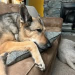 Doug Craft - @doug.craft - Instagram