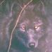 Douglas Craycraft - Facebook