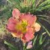 Doug Crider - Facebook