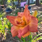 Doug Crider - @doug__crider25 - Instagram
