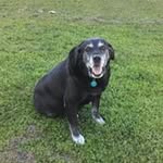 Doug Crisp - @doug_crisp - Instagram