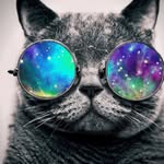Doug Crossman - @crossmandoug - Instagram