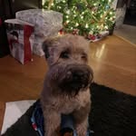 Douglas Crossman - @dacman67 - Instagram
