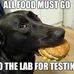Doug Crown - Facebook