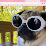 MADISON - @ella.doug.crown - Instagram