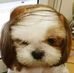Doug Crowson - Facebook