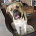Doug Crump - Facebook