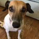 Doug Crumpacker - @dougcrumpacker - Instagram