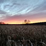 Doug Crytzer - @crytzerdoug - Instagram
