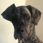 Doug Cullen - @dougcullen64 - Instagram