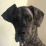Doug Cullen - Facebook