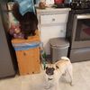 Douglas Curran and jinx Curran - @doug.jinx - TikTok
