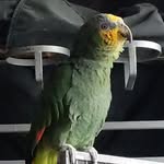Doug Custer - @crdoug31 - Instagram