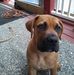 Doug Dailey - Facebook