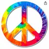 Doug Daily - @dougdaily0 - TikTok