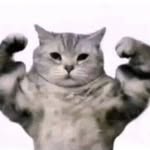 Doug - @dougdaily.gym - Instagram