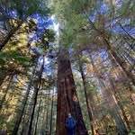 Douglas Robert Dakin - @dougdakin - Instagram