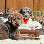 Doug & Dale - @dougndale - Instagram