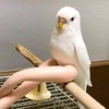 dougdimmadame - @dougdimmadame - TikTok