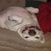Doug Damm - Facebook