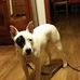 Doug Darby - Facebook