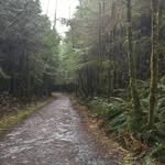 @dash_doug - Instagram