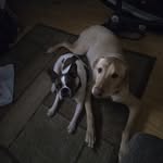 Doug Dasher - @dougdasher - Instagram