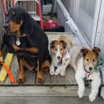 Douglas D Dasher - @dougdasher1 - Instagram