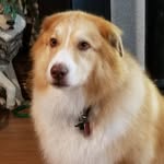 Doug Daugherty - @ps6618 - Instagram