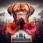 Doug de Bordeaux - @doug_de_bordeaux_ - Instagram