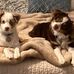 Doug DeBord - Facebook