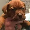dougdebordeaux81 - @dougdebordeaux81 - TikTok