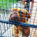 Dougdebordex - @dougdebordex - Instagram