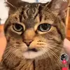 Del - @delaney_doughty - TikTok