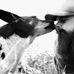 Doug Delaney - Facebook