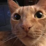 Douglas Sy DeYoung - @sybrand2033 - Instagram