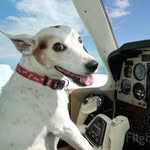 Doug Dickey - @aerodetail - Instagram